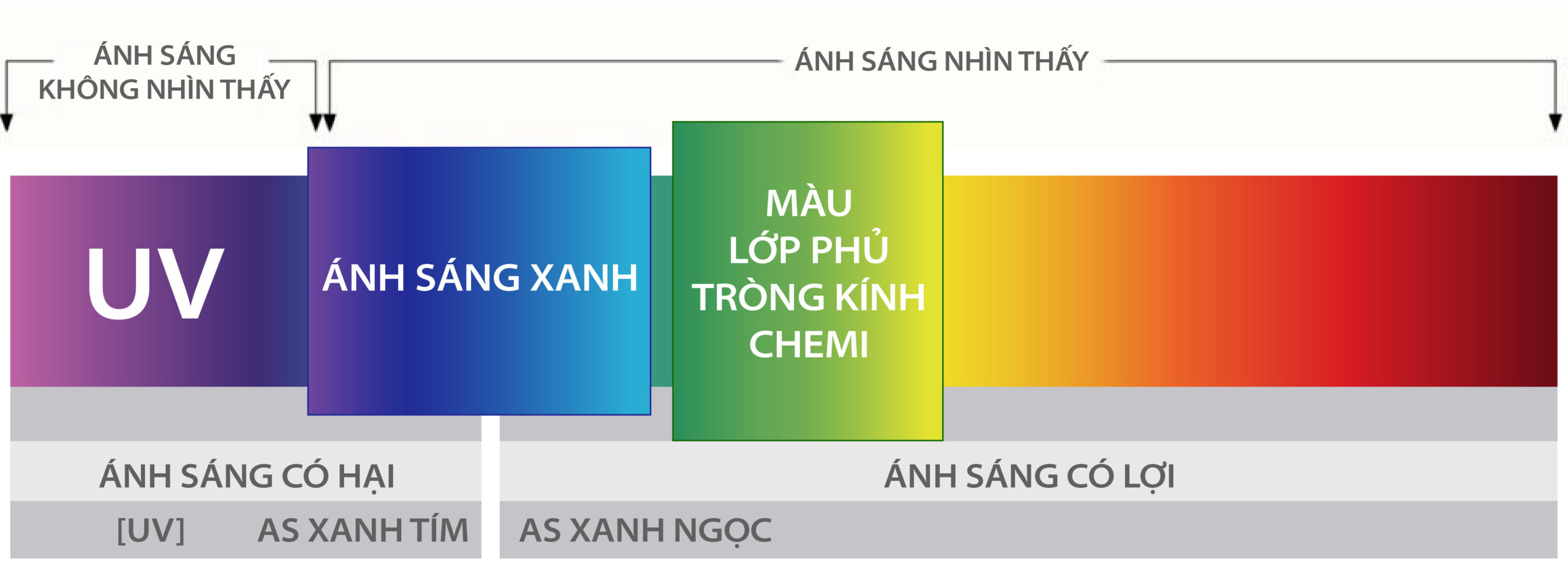 Màu lớp phủ tròng kính Chemilens ngăn ánh sáng xanh